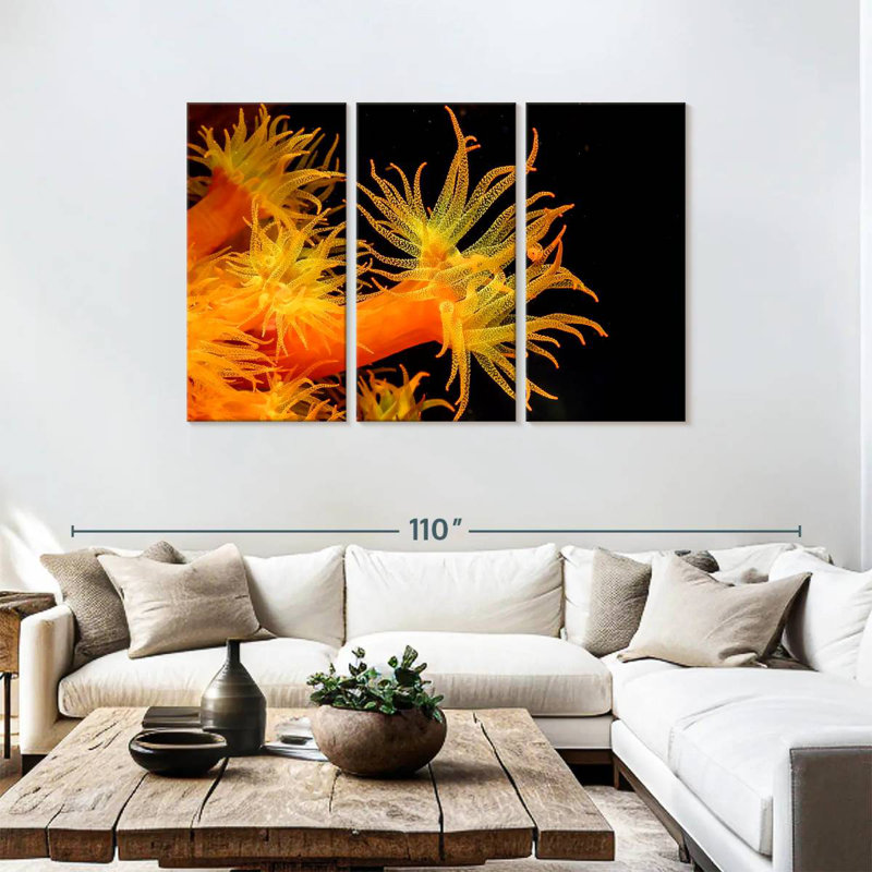 Brampt Sun Polyps, 48" H x 74" W