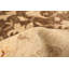 Tapis de bois one-of-kind-noué la 2010 ushak beige/brun 8 pi 1 po x 10 pi zone de laine 3 po Bellana
