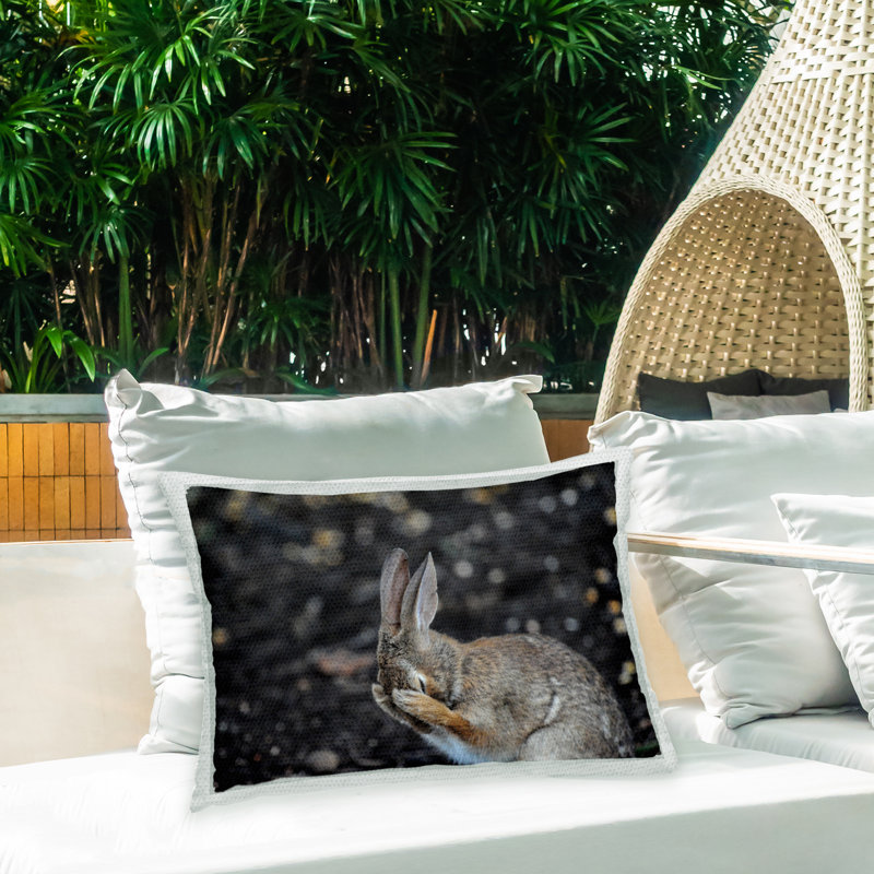 Outdoor Throw Pillow