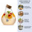 Distributeur de boissons 2,5 gallons Brashaun
