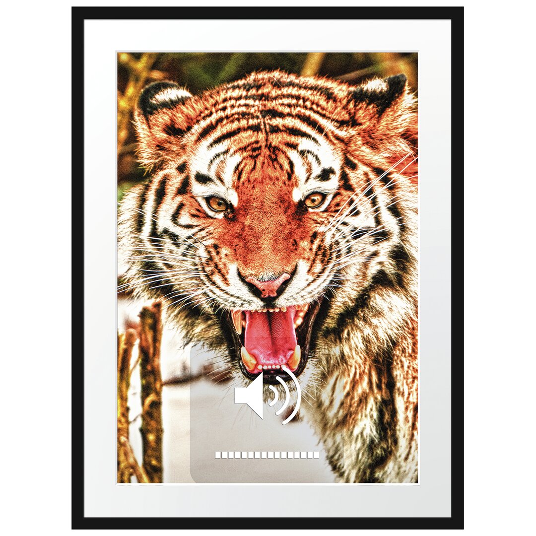 Gerahmtes Poster Tiger-Scream