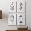 Simply Imperial - Ensemble de 4 toiles tendues-395803630