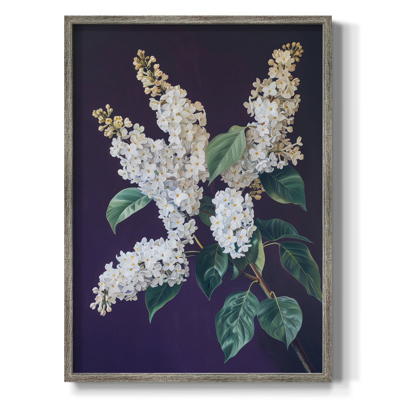 Reproduction encadrée FLORAL Series CCXXXVII - bois massif, H 11 po x l 9 po
