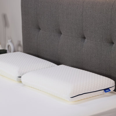 Cool Revolution Pillow