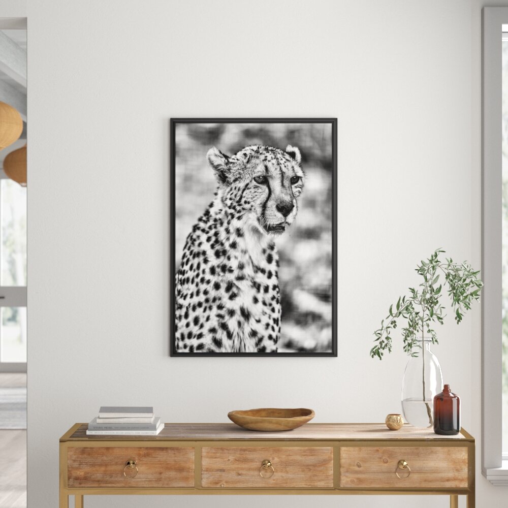 Gerahmtes Wandbild ausgewachsener Gepard