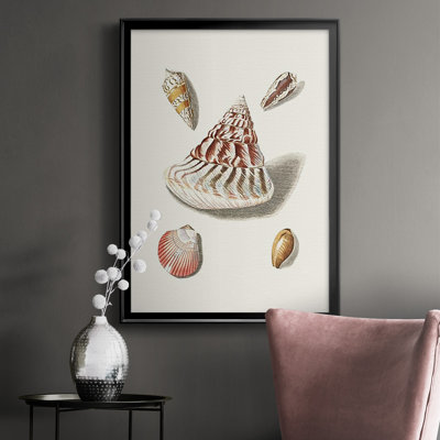 Pastel Knorr Shells VII, reproduction encadrée de qualité supérieure - prête à être accrochée