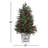 3' Potted Berry And Mix Greens Tree