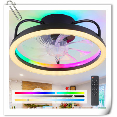 Ventilateur de plafond Museau avec lumières DEL