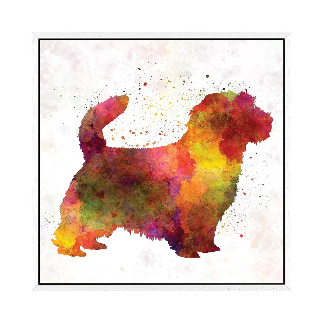 Norfolk Terrier in Aquarell