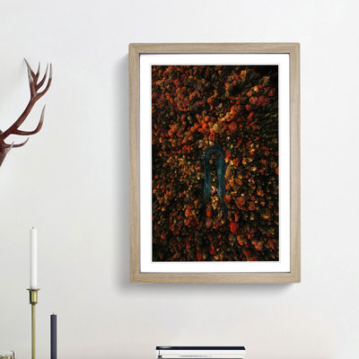 Forest Road in Austria - Framed Print
