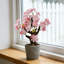17" Artificial Pink Cherry Blossom Tree With Lifelike Flowers, Faux Bonsai Tree In Decorative Pot