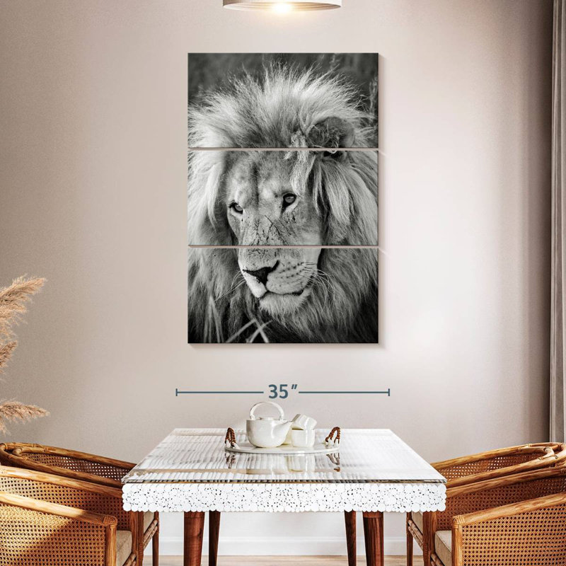 Lion Brampt mâle I