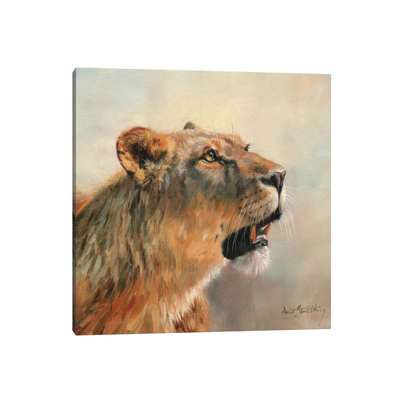 Lioness Portrait II by David Stribbling - Wrapped Canvas Painting, 30.48 cm H x 30.48 cm W