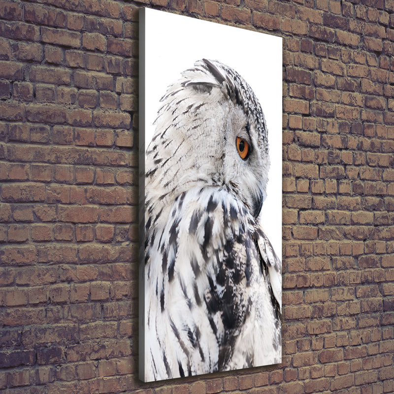 White Owl - Wrapped Canvas Print