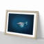 Swimming Dolphin - Picture Frame Painting Print-55617164-55617168