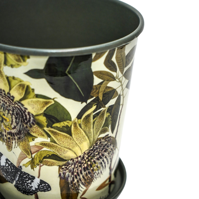 Kew Botanical Retreat Planter with Saucer, 16 cm H x 14 cm W x 14 cm D