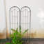  Ensemble de 2 treillis de jardin noir pour plantes grimpantes H 59 po x l 15,9 po