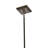 Caterham Olde Bronze 4-Light Indoor/Outdoor Chandelier with Satin Etched Glass Shades