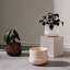 Nappula Ceramic Pot Planter-79186583