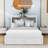 Dyonne Platform Storage Bed-1858873523
