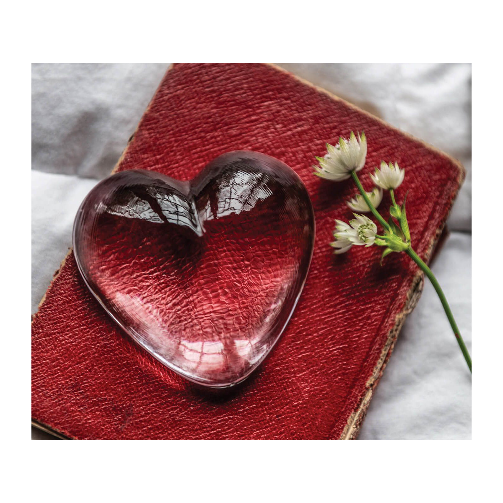 Highgate Heart, Medium