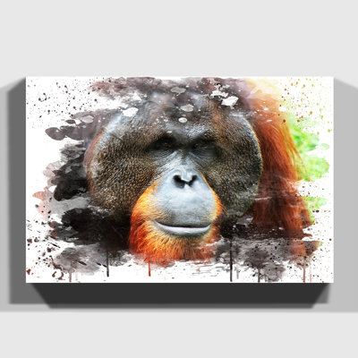 Orangutan Monkey - Wall Art
