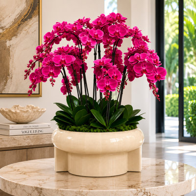 Arrangement d'orchidées artificielles Replay