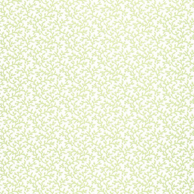 Papier peint Coral Vine
