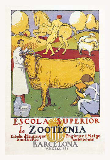" Escola Superior De Zootecnia ", 42" H x 28" W x 1.5" D