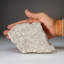 Genuine Muonionalusta Meteorite Slice 5.5"W (0.73 Lbs)