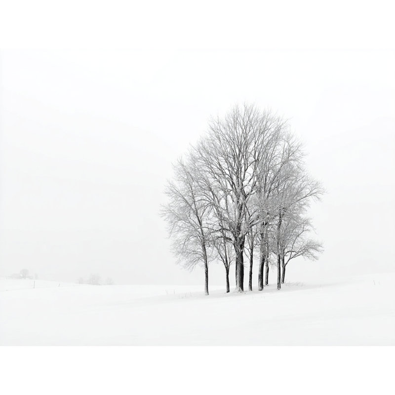 «Snowfield Trees», art mural sur toile tendue, H 12 po x l 16 po