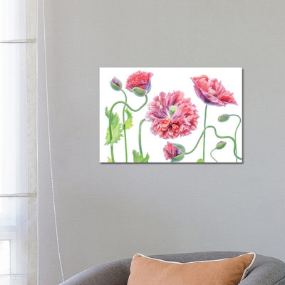 Fancy by Mandy Disher - Wrapped Canvas Painting