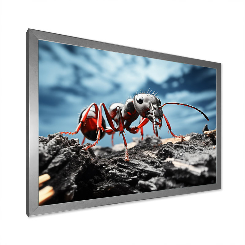 Ant Industrious I, reproduction d'art sur toile, H 12 po x l 20 po x P 1 po, Cadre photo argenté