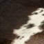 Buckley Animal Print Cowhide 150cm X 170cm Area Rug