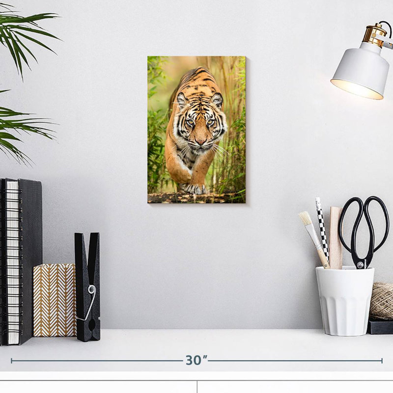 Brampt Big Cat, 12" H x 8" W