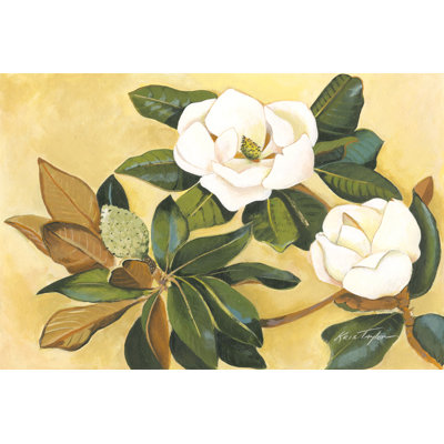 Magnolia du Sud I