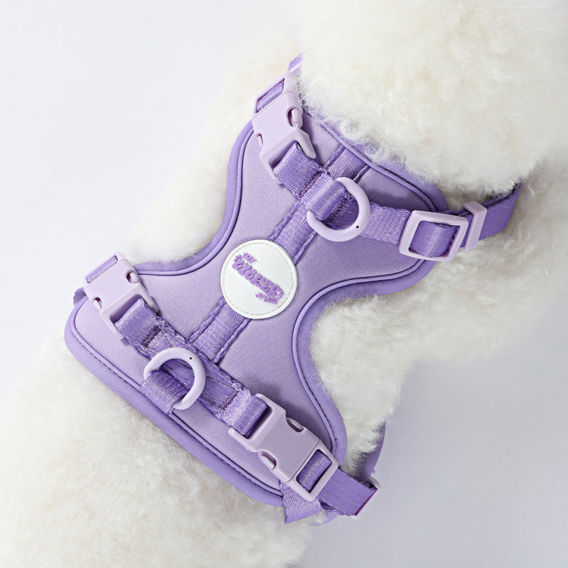 Harnais pour animal de compagnie Arlo, Mauve