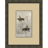 Cabin Collection Grasshoppers Painting