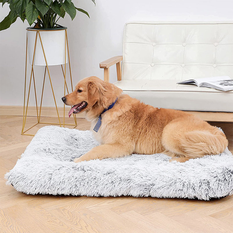 Cotton Pet Bed, 10" H x 109" W x 72" D