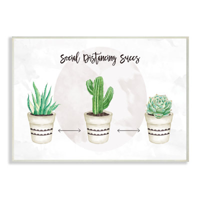 Jeu social succulent humoristique jeu de mots succulent