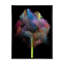 «Blooming Multicolor Fractal Flower IX», reproduction d'art sur toile moderne-156322665-156322678