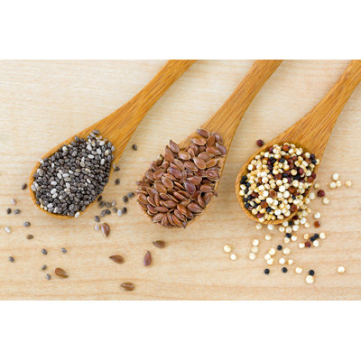 Dried Seeds - Wrapped Canvas Print