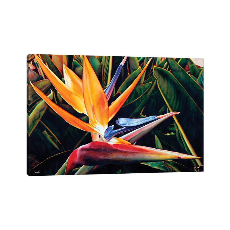 Weekend Catalina by Lisa Lopuck - Wrapped Canvas Print, 20.32 cm H x 30.48 cm W