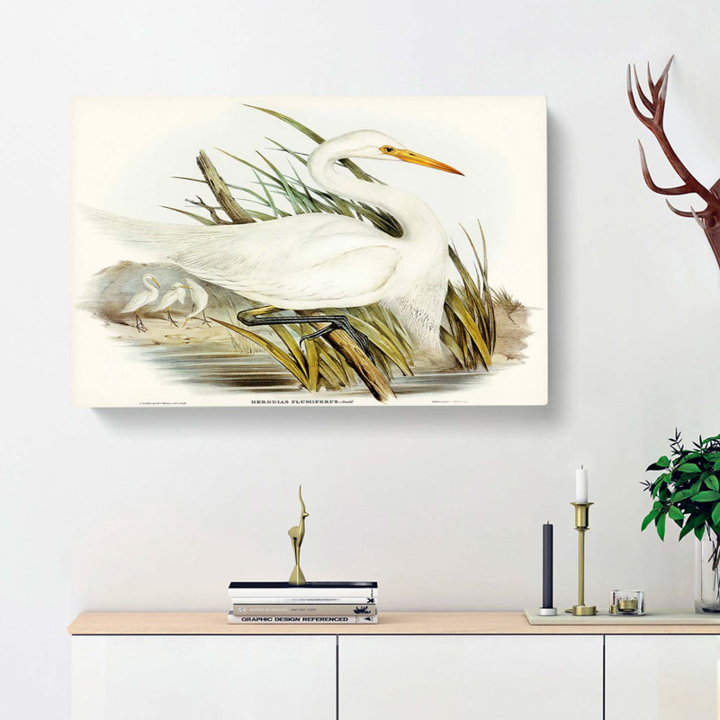 Plumed Egrets by Elizabeth Gould - Wrapped Canvas, 40cm H x 60cm W x 3cm D