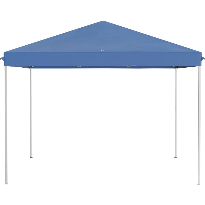 10' X 10' Pop Up Canopy Tent With Netting, Instant Gazebo, Ez Up Screen House Room With Carry Bag, Height Adjustable, For Outdoor, Garden, Patio