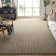 Nonatum Natural Fiber Sisal Pile Striped Rug