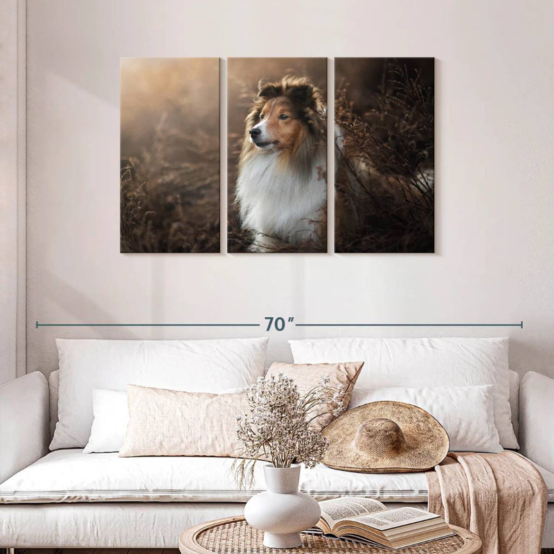 Bramelt, magnifique sheltie, H 28 po x l 45 po