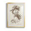 Sépia fougères variétées III - reproduction de cadre photo-464456452-464456455