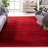 Riebe Red/Black Area Rug-33394229
