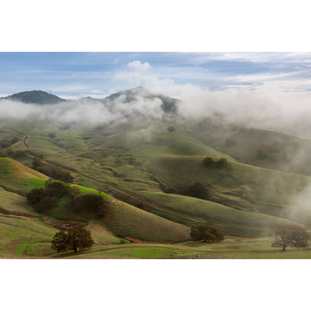 East Bay Hills von Skyhobo - Kunstdrucke